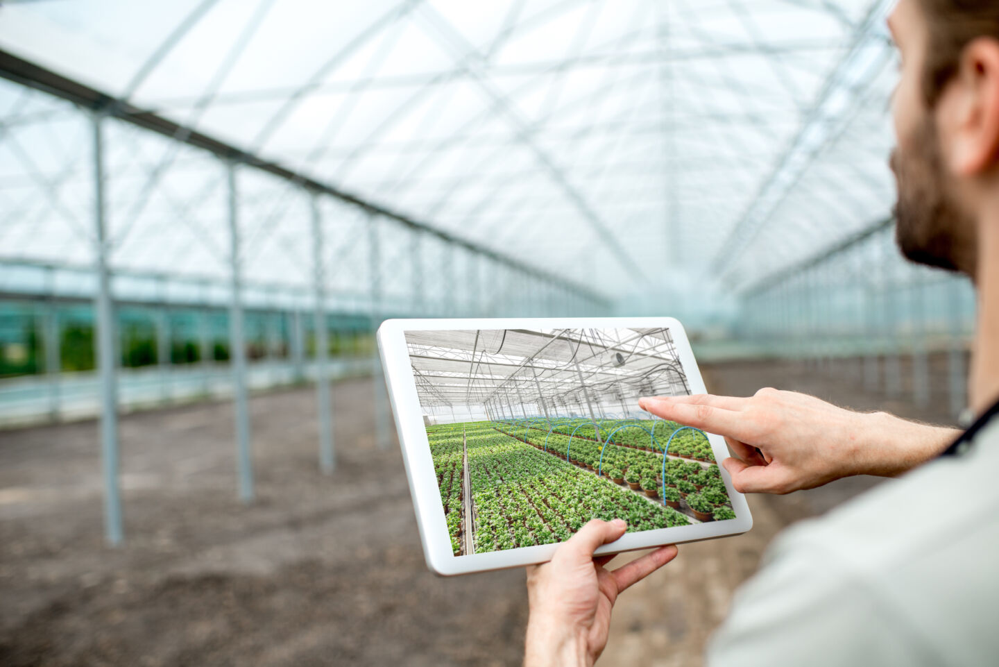 Farmer with tablet in the glasshouse